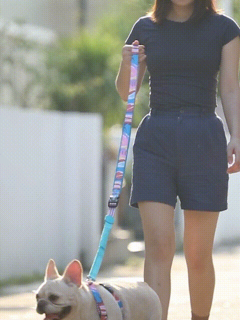 Go Ready Dog Vest