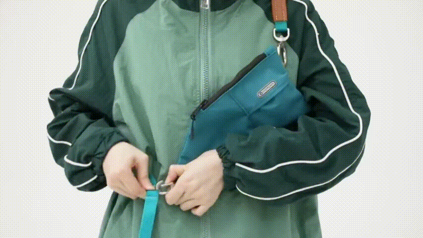 dog walking kit accessories