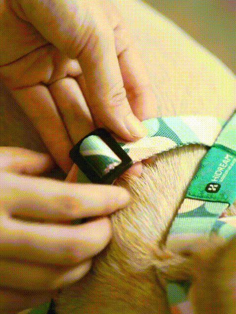 Adjustable dog vest straps