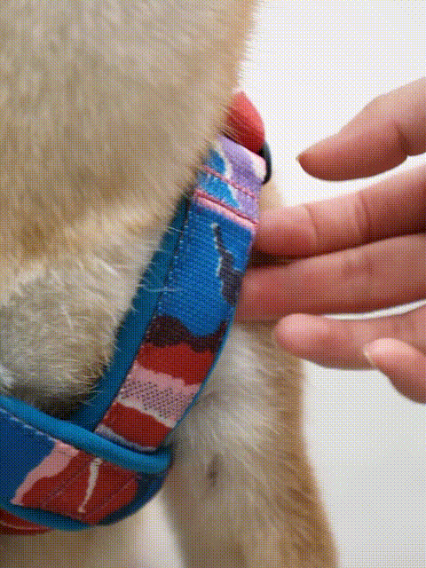 Soft Vest Set for Dogs