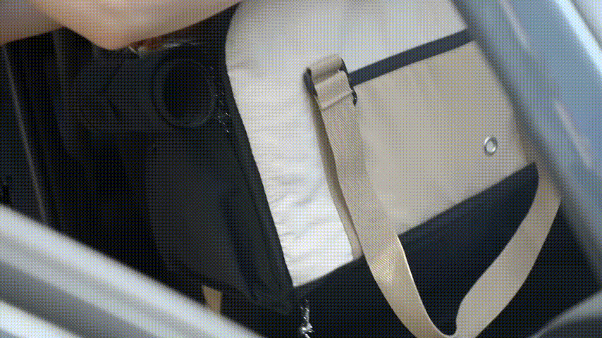 Convertible Pet Carrier - Car Mode