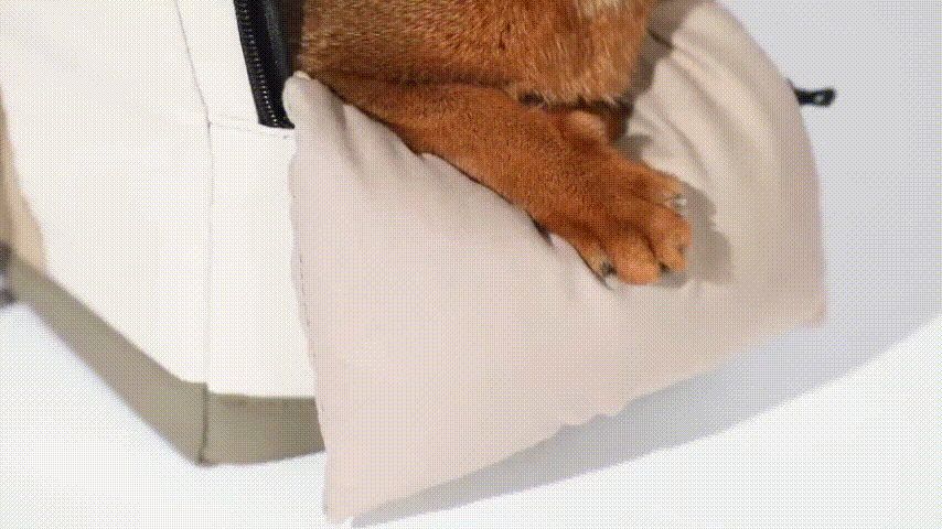 Squar Tote Bag preventing pet escape