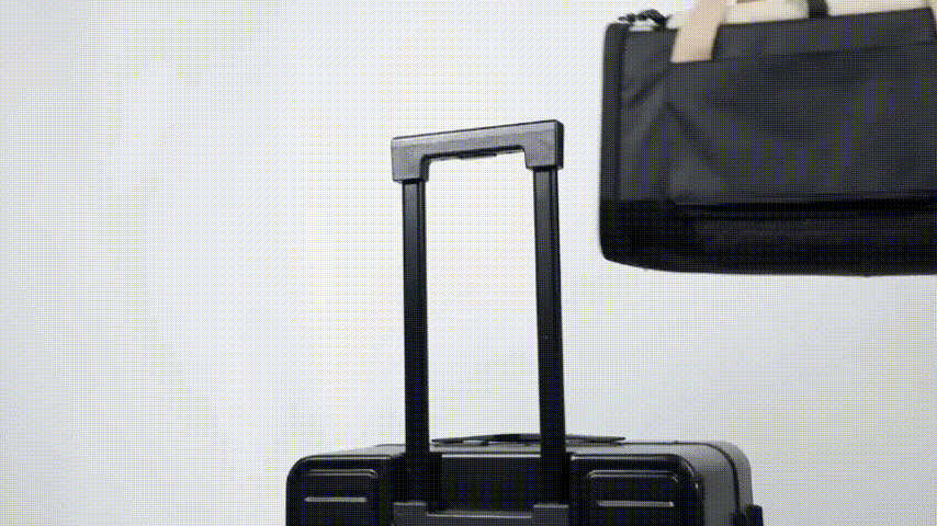 Pet carrier for secure travel