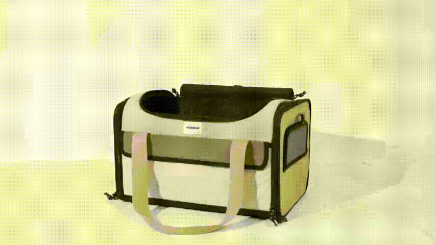 Happy pet in a secure carrier
