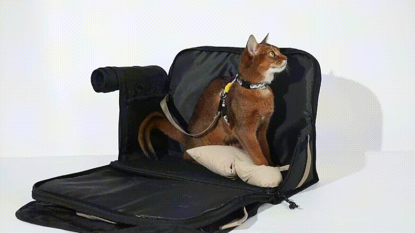 Multifunctional Pet Carrier - Travel Mode