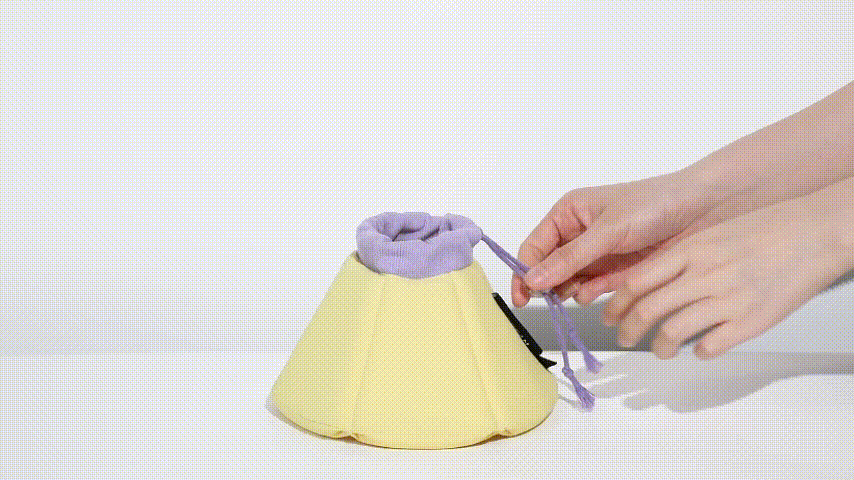 Comfortable fit of Elizabethan ring for cats