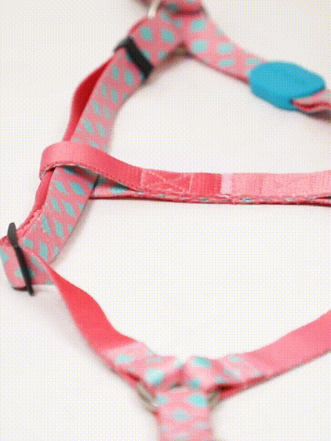 Colorful Y-shaped dog harness