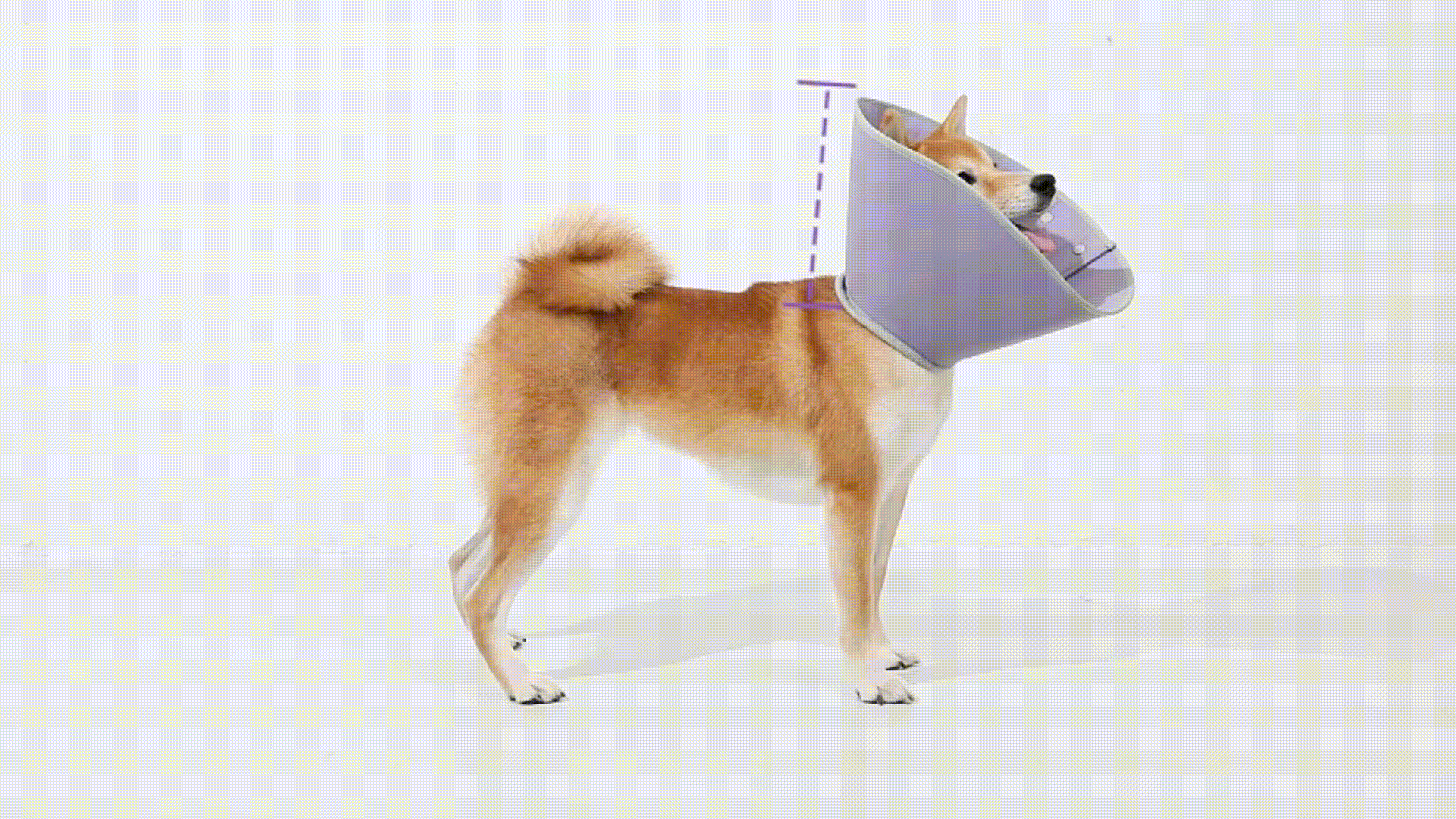 Comfortable Collar