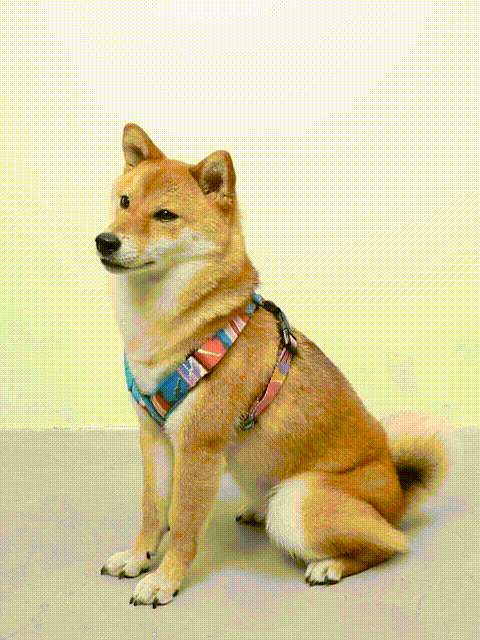 Durable Dog Vest