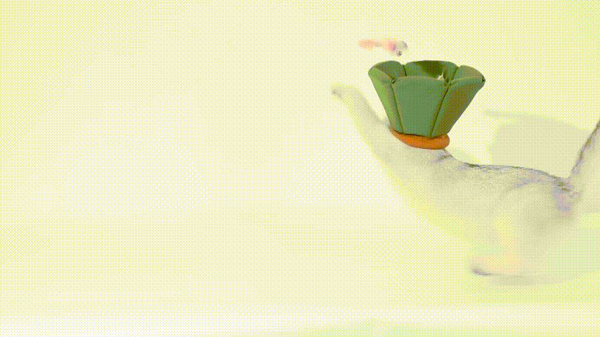 Soft and comfortable Elizabethan ring for pets