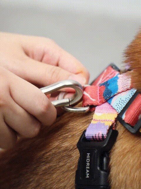 Hook on Dog Vest