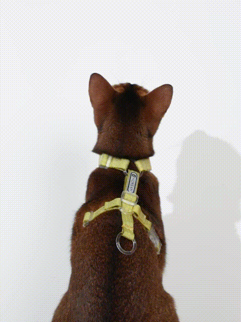 Comfortable Nylon Cat Vest