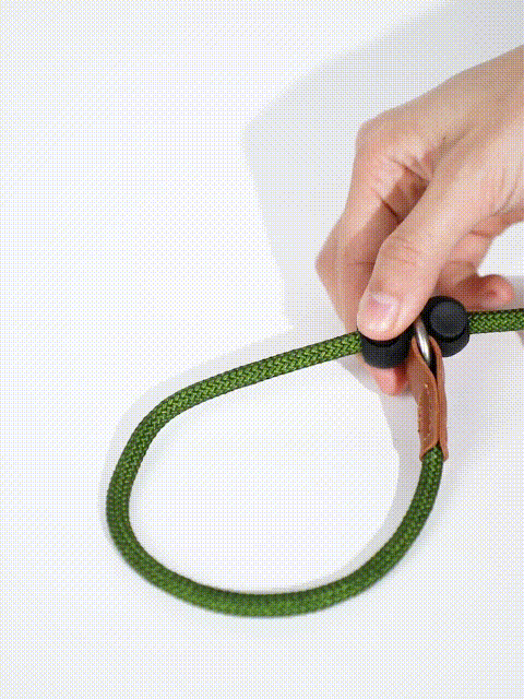 Lightweight easy to carry dog leash
