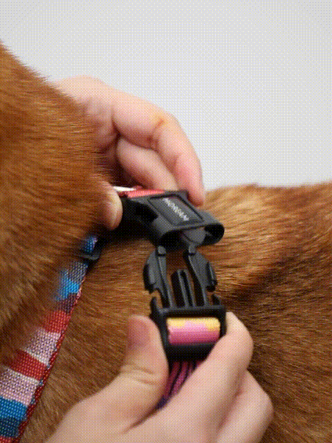 Clip on Dog Vest