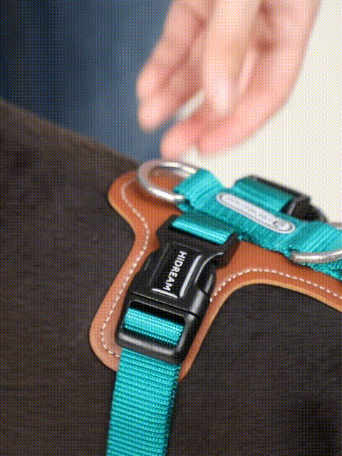 adjustable dog harness