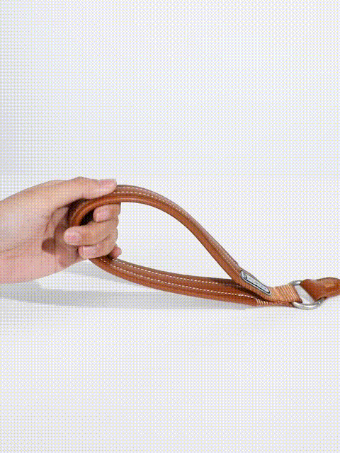 Strong and durable dog leash with ergonomic handle