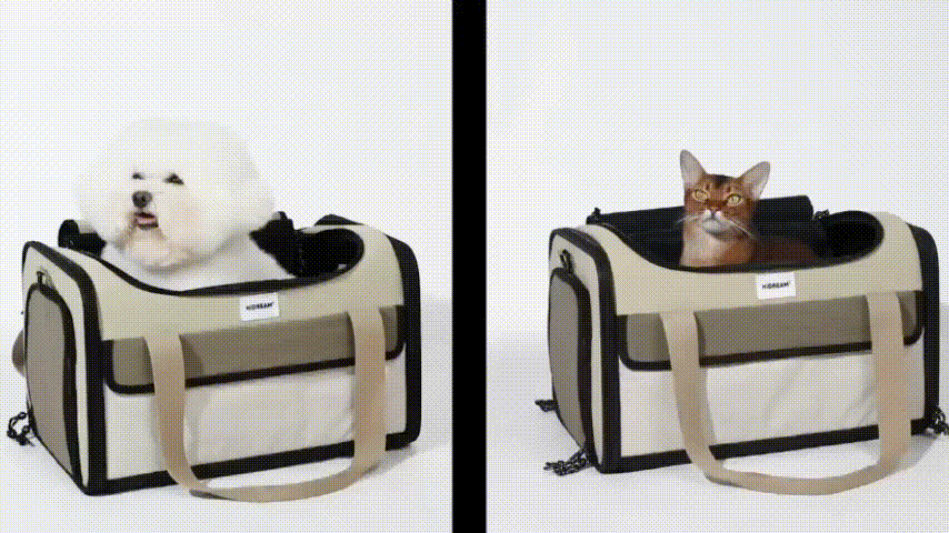 Airline Tote Pet Carrier for travel