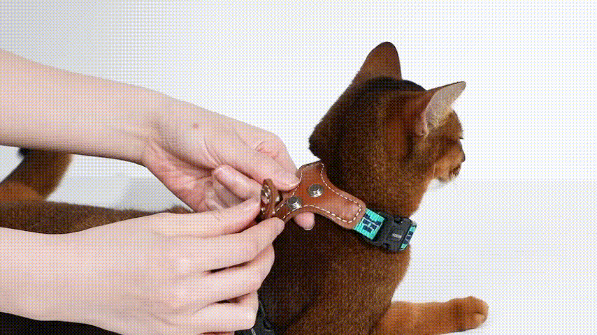 Comfortable cat vest with easy adjustment