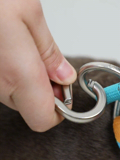Strong Hook for Dog Collar