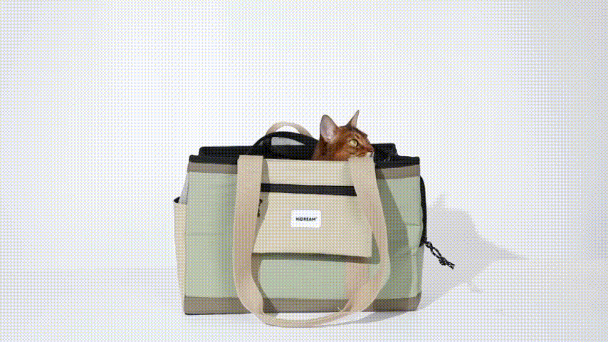 Squar Tote Bag for pets that enjoy lying on their backs