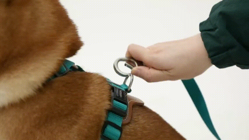 comfortable dog vest