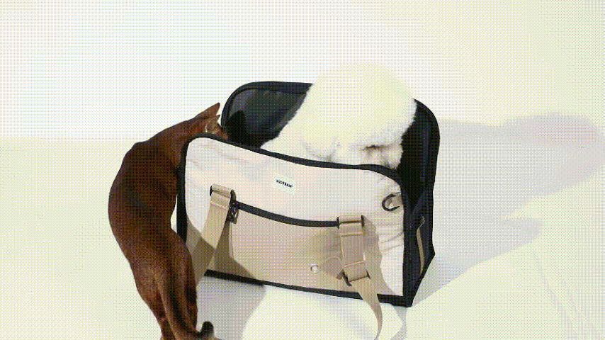 Pet Carrier Bag - Satchel Mode