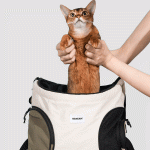 Front Pet Carrier Backpack