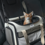 Airline Tote Pet Carrier