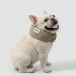 Dog Cooling Collar