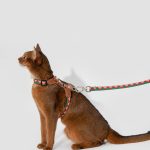 Bobo Series - Colorful Leather Patchwork Cat Vest Set
