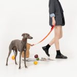 Bobo Series - Soft handle Nylon Dog Leash