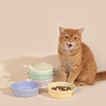 Pet Ceramic Bowl